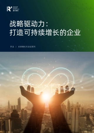 战略驱动力：打造可持续增长的企业-源力研究