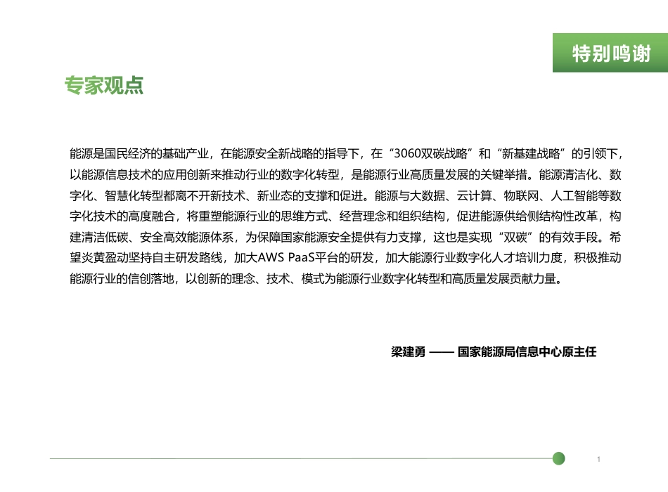 2022低代码PaaS加速能源行业数字化转型白皮书-炎黄盈动_第2页