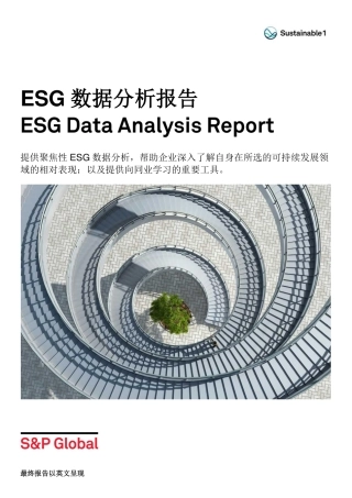 ESG 数据分析报告-S_P