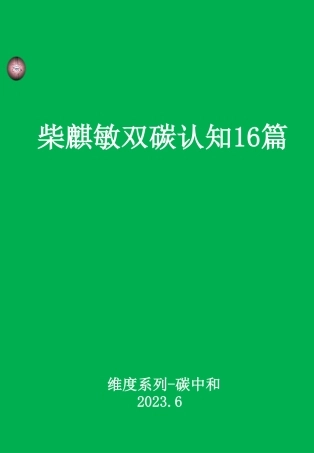 柴麒敏16个碳中和观点汇总