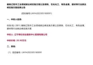 【中标】碳方案20.9万-编制辽阳市工业领域碳达峰实施方案以及钢铁、石化化工、有色金属、建材等行业碳达峰实施方案结果公告-辽阳市工业和信息化局-辽宁博仕创业服务中心管理有限公司