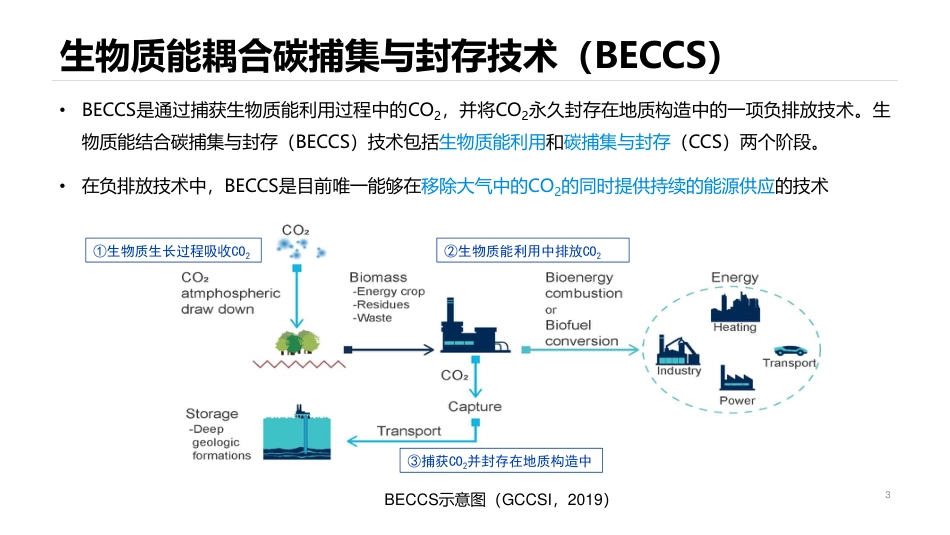 生物质能碳捕集与封存在实现碳中和中的作用_第3页