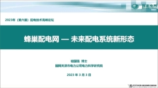 祖国强：蜂巢配电网——未来配电系统新形态