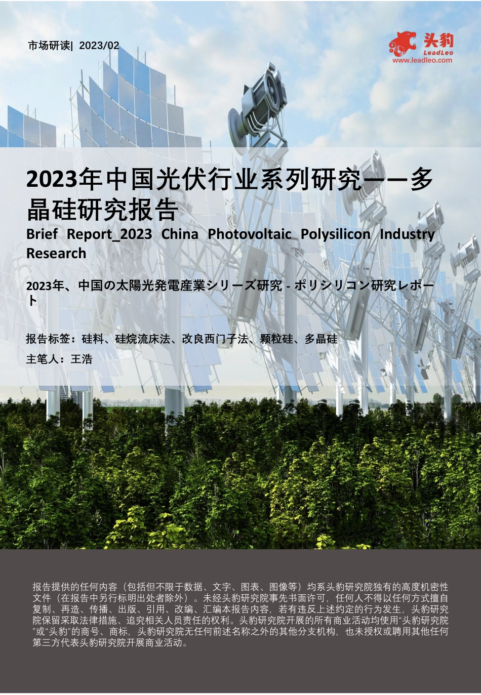 头豹：2023年中国光伏行业系列研究——多晶硅研究报告_第1页