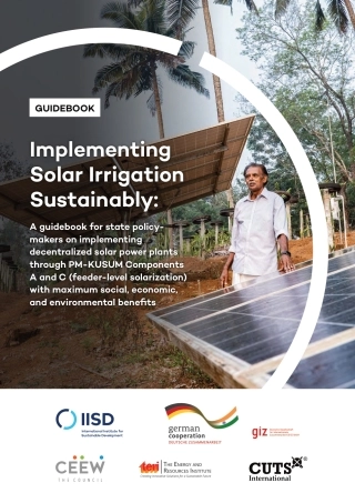 国际可持续发展研究所：可持续实施太阳能灌溉（英文版）