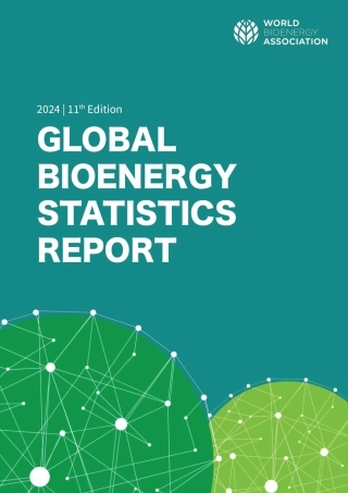 世界生物能源协会：2024全球生物能源统计（英文版）