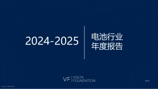 2024-2025年电池行业年度报告