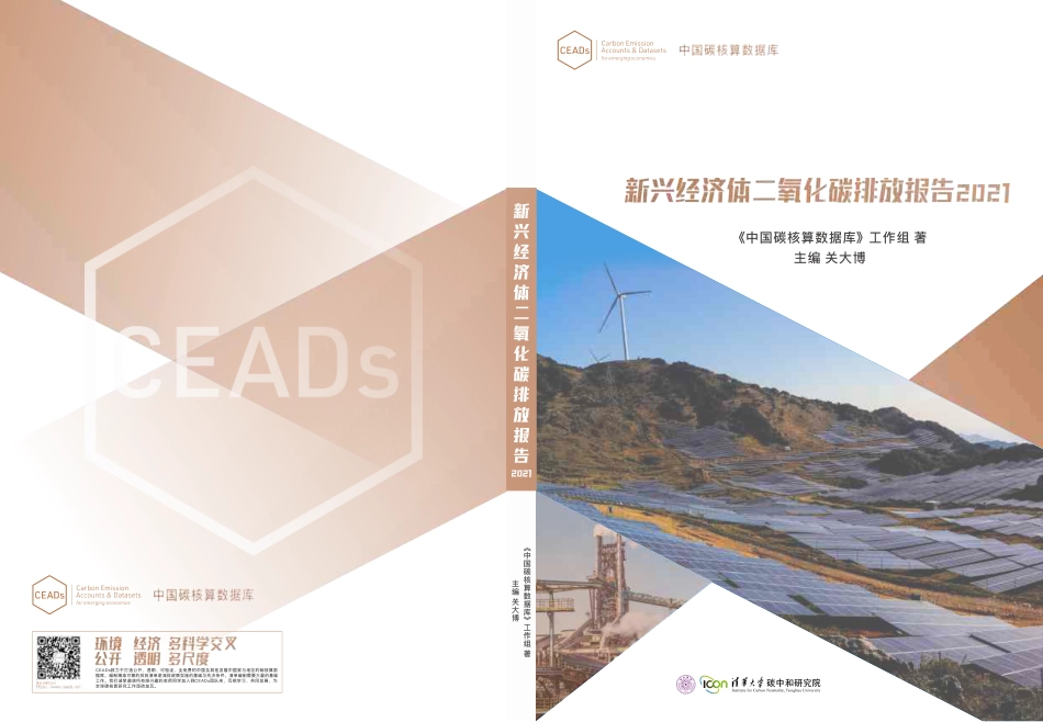 新兴经济体二氧化碳排放报告2021-CEADs_第1页