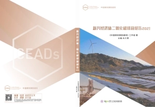 新兴经济体二氧化碳排放报告2021-CEADs