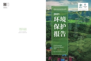 国家电网有限公司2021环境保护报告