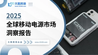 大数跨境：2025全球移动电源市场洞察报告