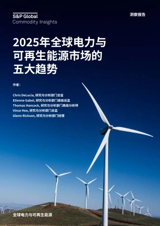 标普全球：2025年全球电力与可再生能源市场的五大趋势