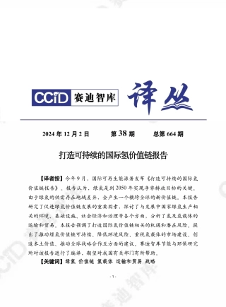 赛迪智库：打造可持续的国际氢价值链报告