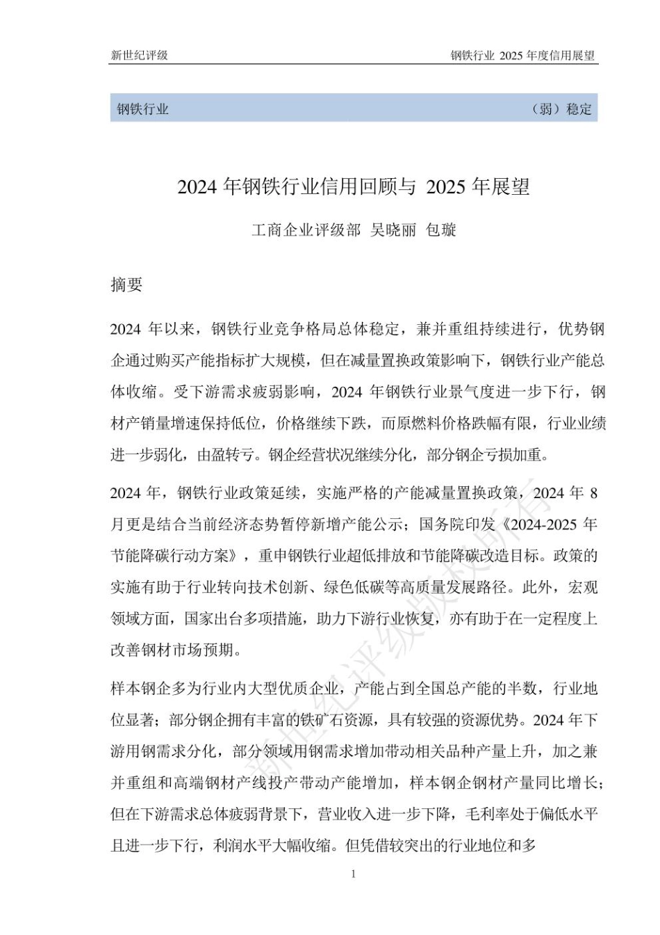 新世纪评级：2024年钢铁行业信用回顾与2025年展望_第1页