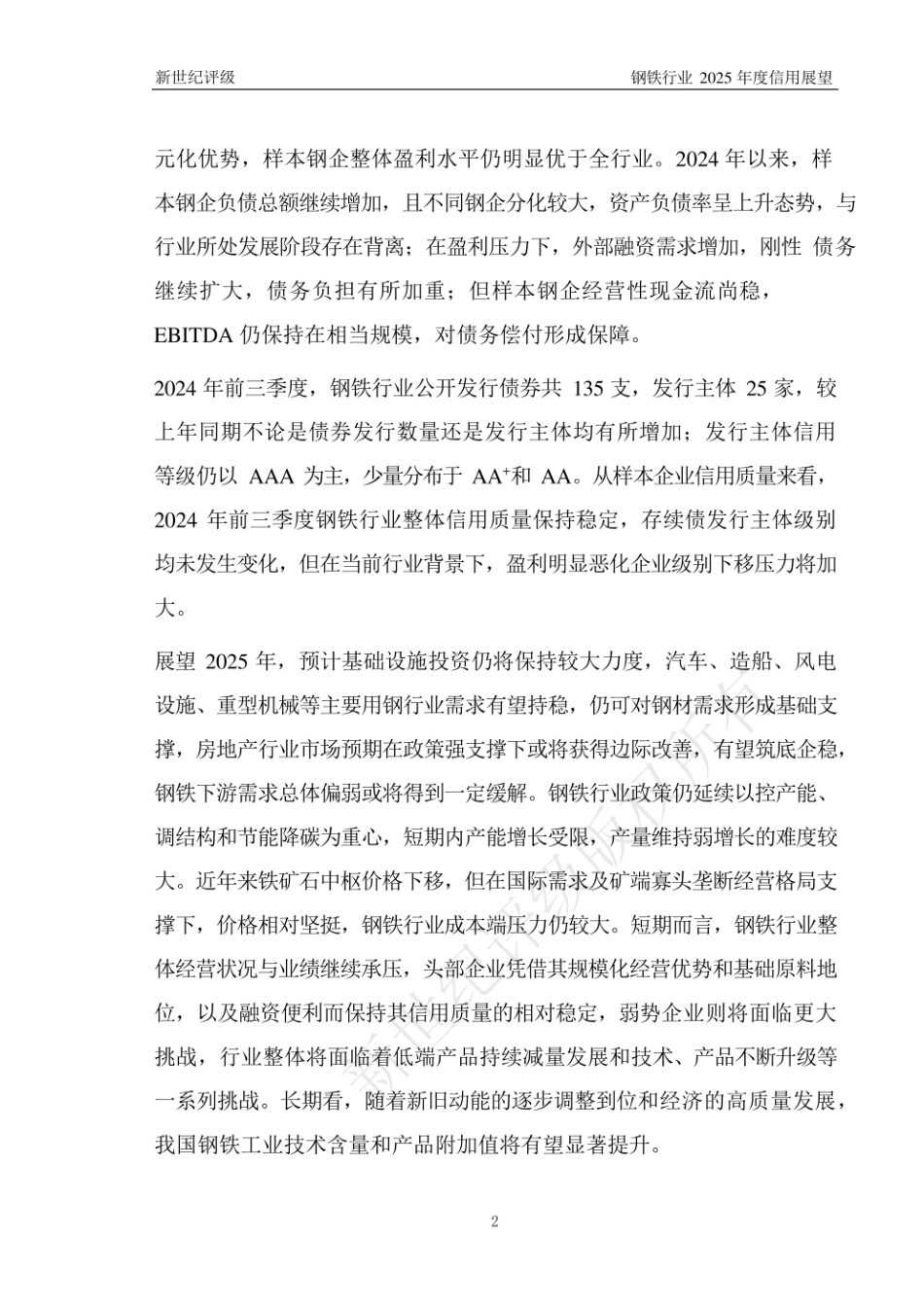 新世纪评级：2024年钢铁行业信用回顾与2025年展望_第2页