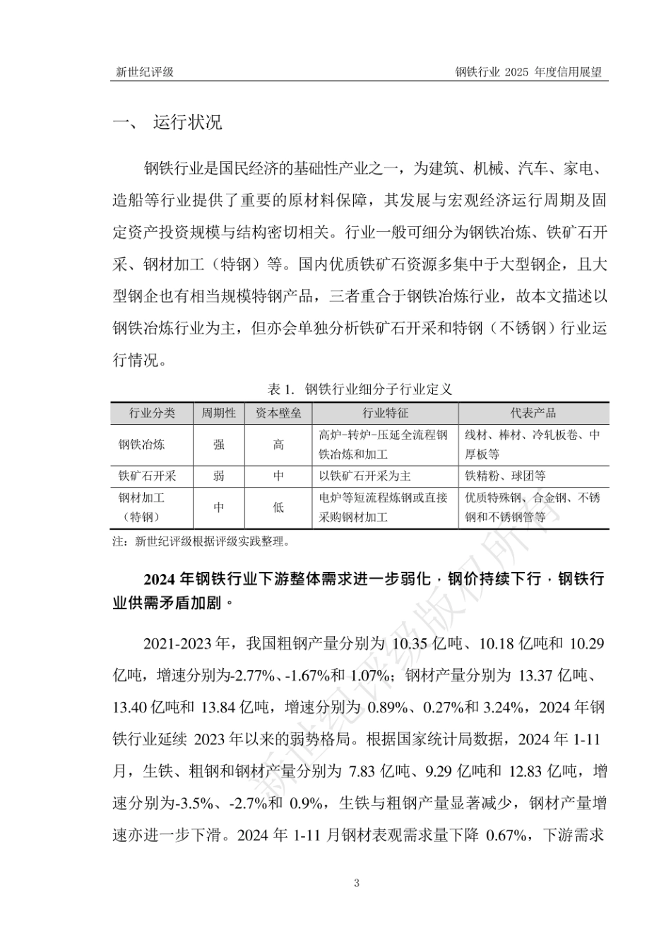 新世纪评级：2024年钢铁行业信用回顾与2025年展望_第3页