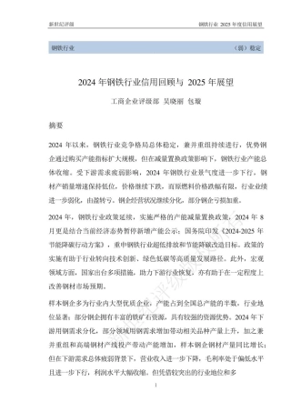 新世纪评级：2024年钢铁行业信用回顾与2025年展望