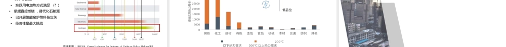 熊华文：工业领域降碳与氢能应用