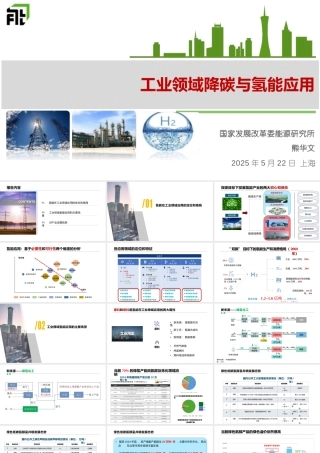 熊华文：工业领域降碳与氢能应用