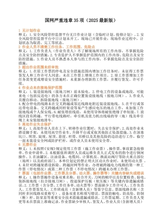 国网严重违章35项（2025最新版）