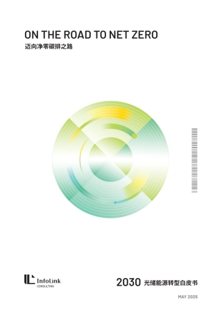 迈向净零碳排之路—2030光储能源转型白皮书