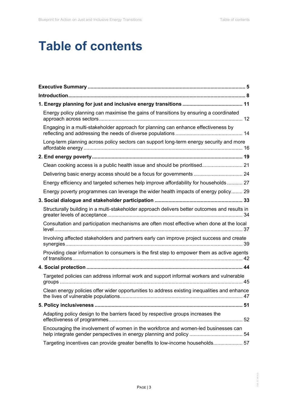 国际能源署IEA：公正包容的能源转型行动蓝图（英文版）_第3页