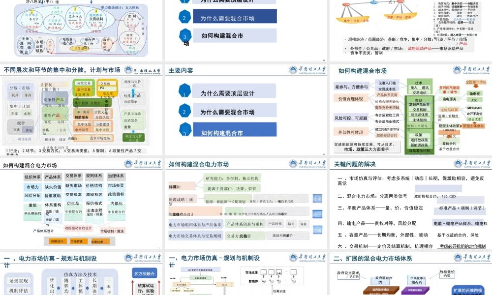 华南理工大学 荆朝霞：能源转型背景下的混合电力市场顶层设计