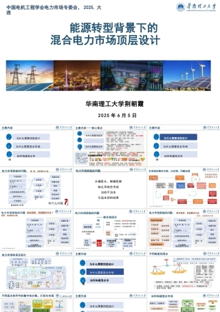 华南理工大学 荆朝霞：能源转型背景下的混合电力市场顶层设计