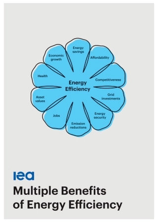 国际能源署IEA：能源效率的多重益处报告（英文版）