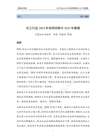 新世纪评级：化工行业2024年信用回顾与2025年展望