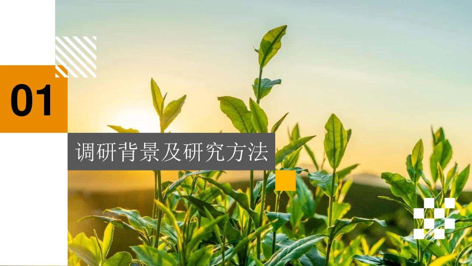 12-普华永道：2024年香港上市公司环境、社会及管治报告调研_第3页