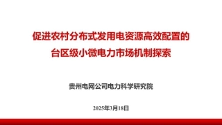 贵州电网：促进农村分布式发用电资源高效配置的台区级小微电力市场机制探索