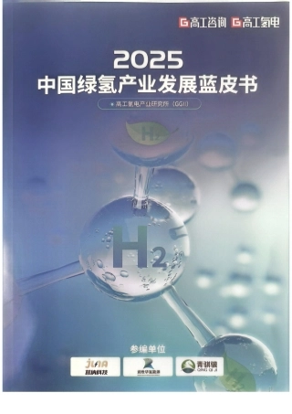 高工氢电：2025中国绿氢产业发展蓝皮书