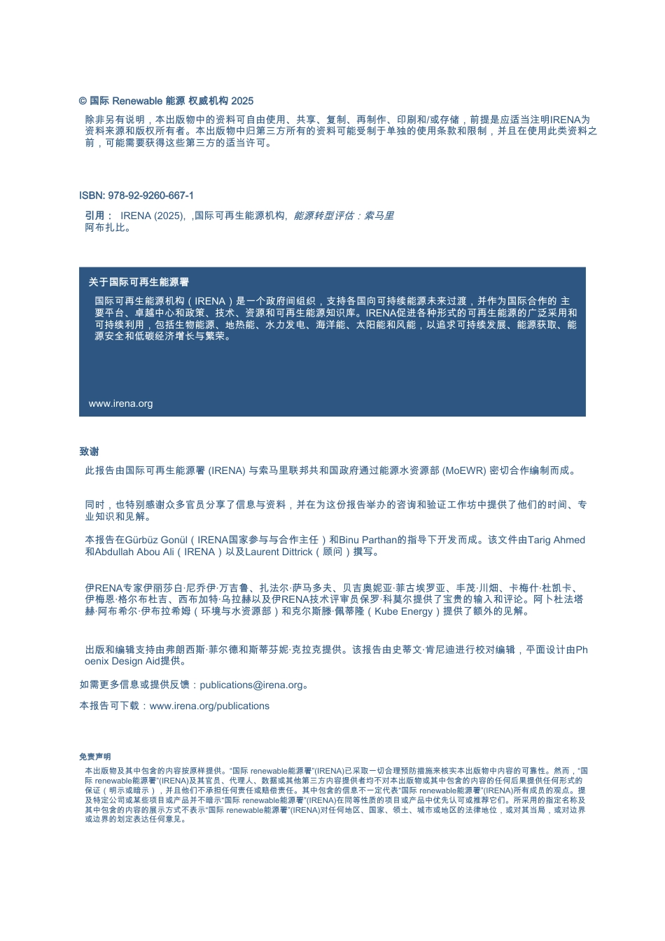 国际可再生能源署IRA：能源转型评估-索马里_第2页