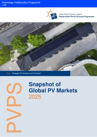 全球太阳能光伏市场回顾2025