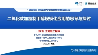中化低碳化工研究中心 郑珩:二氧化碳加氢制甲醇规模化应用的思考与探讨
