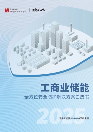 思格新能源：2025工商业储能全方位安全防护解决方案白皮书