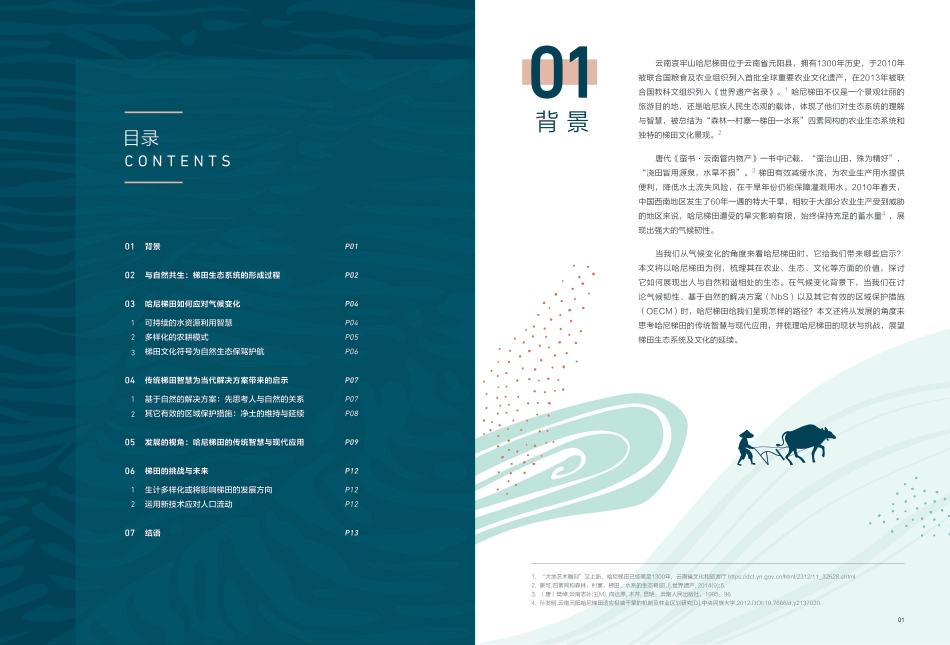 科莱美特：传统智慧的当代启示：哈尼梯田的气候适应与发展_第2页