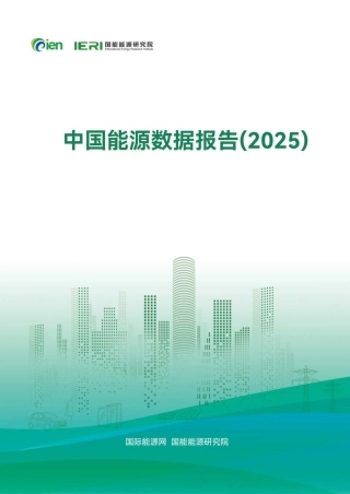 国能能源研究院：中国能源数据报告（2025）