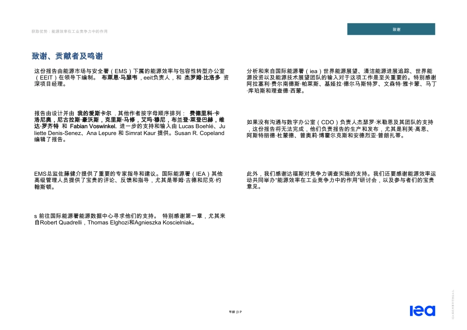 国际能源署IEA：获得优势-能源效率在工业竞争力中的角色_第3页