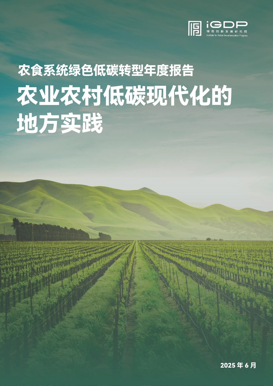 绿色创新发展研究院IGDP：农食系统绿色低碳转型年度报告：农业农村低碳现代化的地方实践_第1页