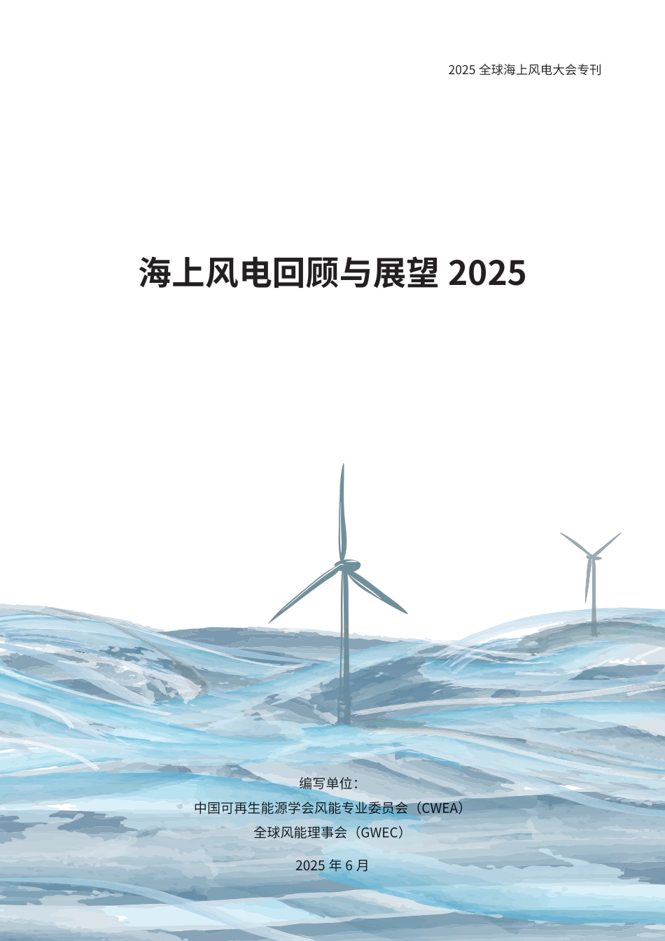 全球风能理事会：海上风电回顾与展望2025_第1页