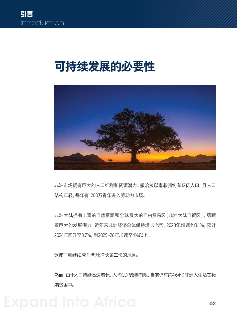 MSC咨询：出海非洲：再次看见金字塔底层的财富——中国企业的出海可持续发展指南_第3页