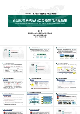 国网辽宁 田野：新型配电系统运行态势感知与风险预警