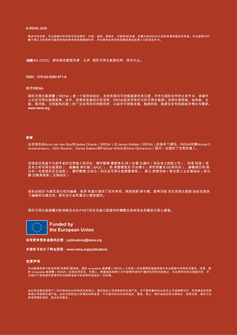 国际可再生能源署IRENA：实现绿色氢能发展_第2页