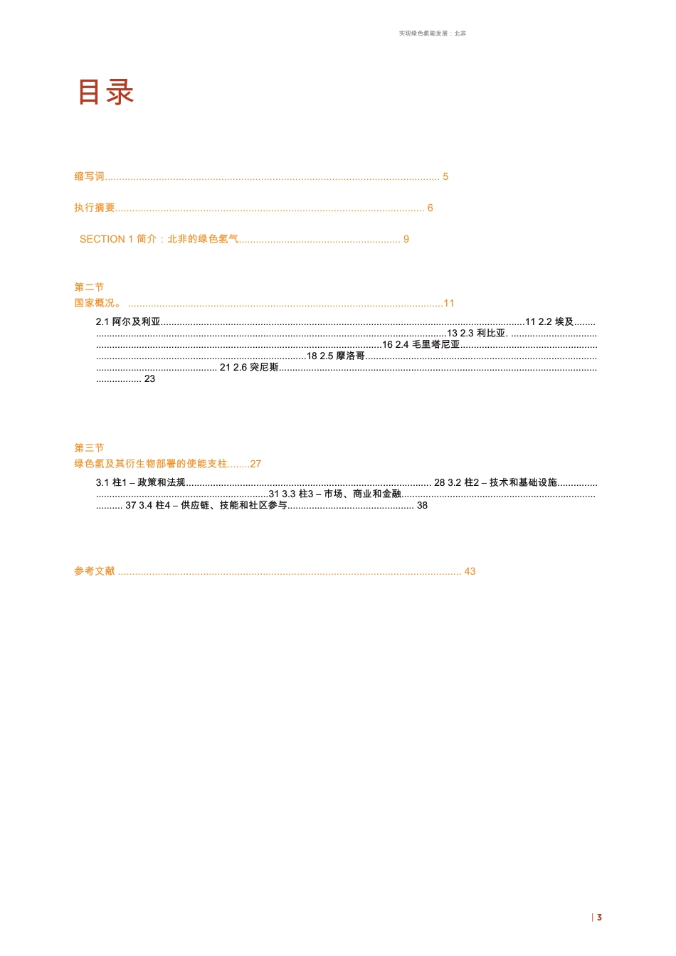 国际可再生能源署IRENA：实现绿色氢能发展_第3页
