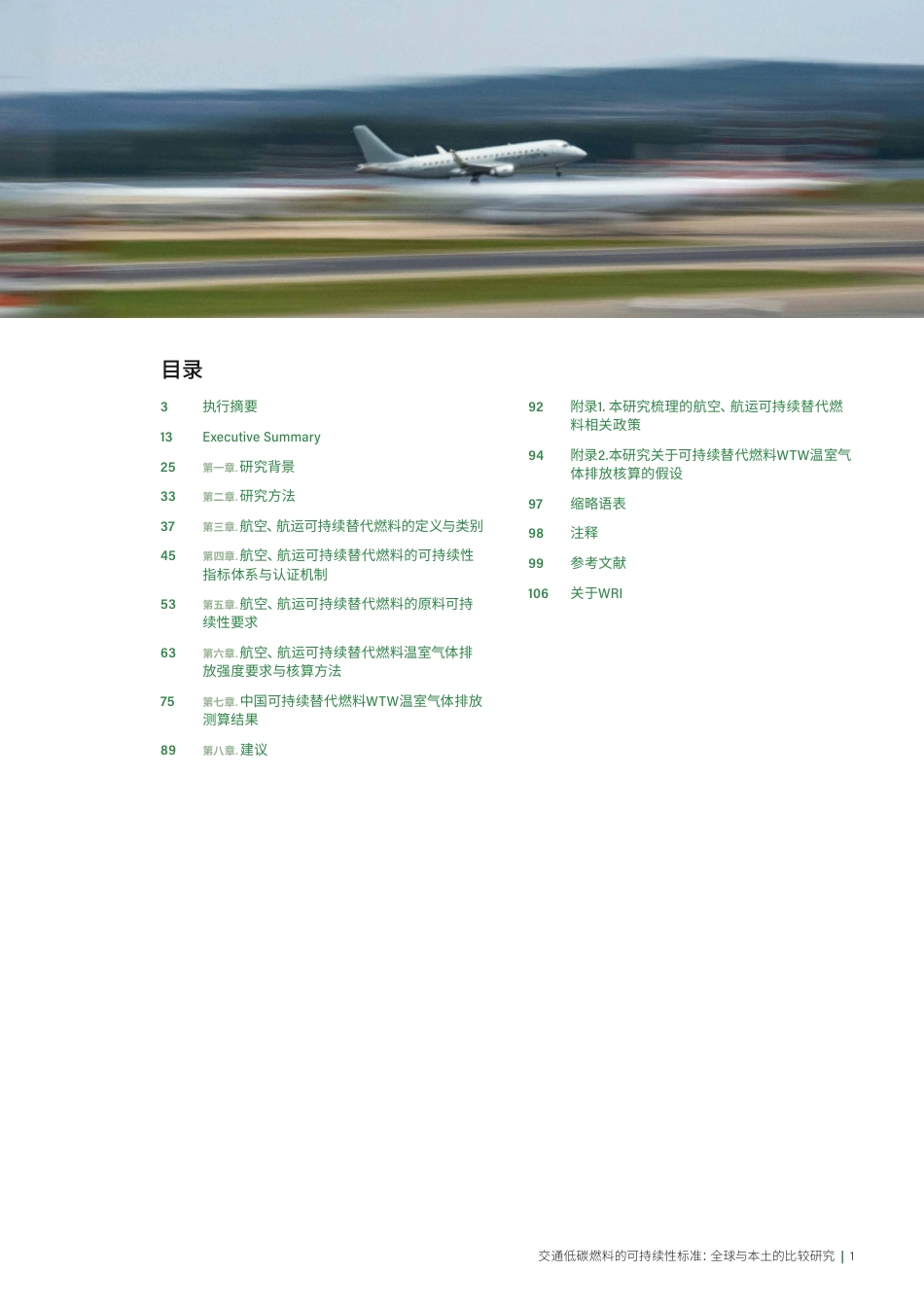 世界资源研究所WRI：交通低碳燃料的可持续性标准：全球与本土的比较研究_第3页