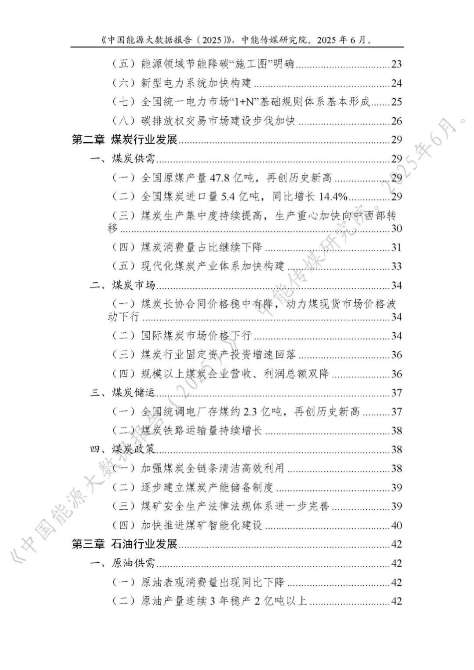 中能传媒研究院：中国能源大数据报告（2025）_第3页