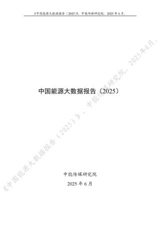 中能传媒研究院：中国能源大数据报告（2025）