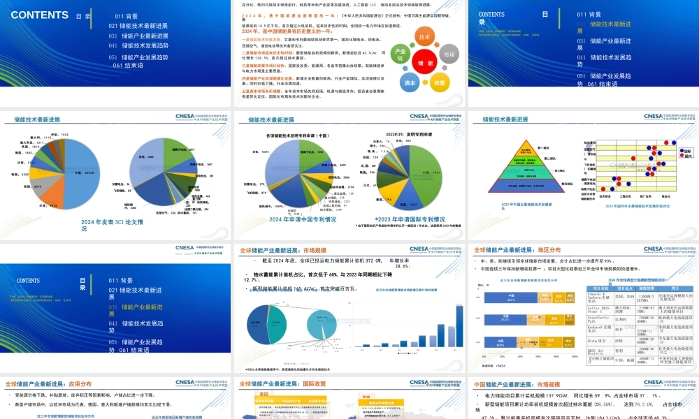 刘为PPT：储能技术与产业最新进展与展望